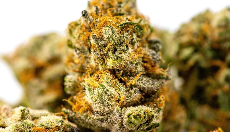 Mayor aceptación en el consumo de cannabis en el deporte