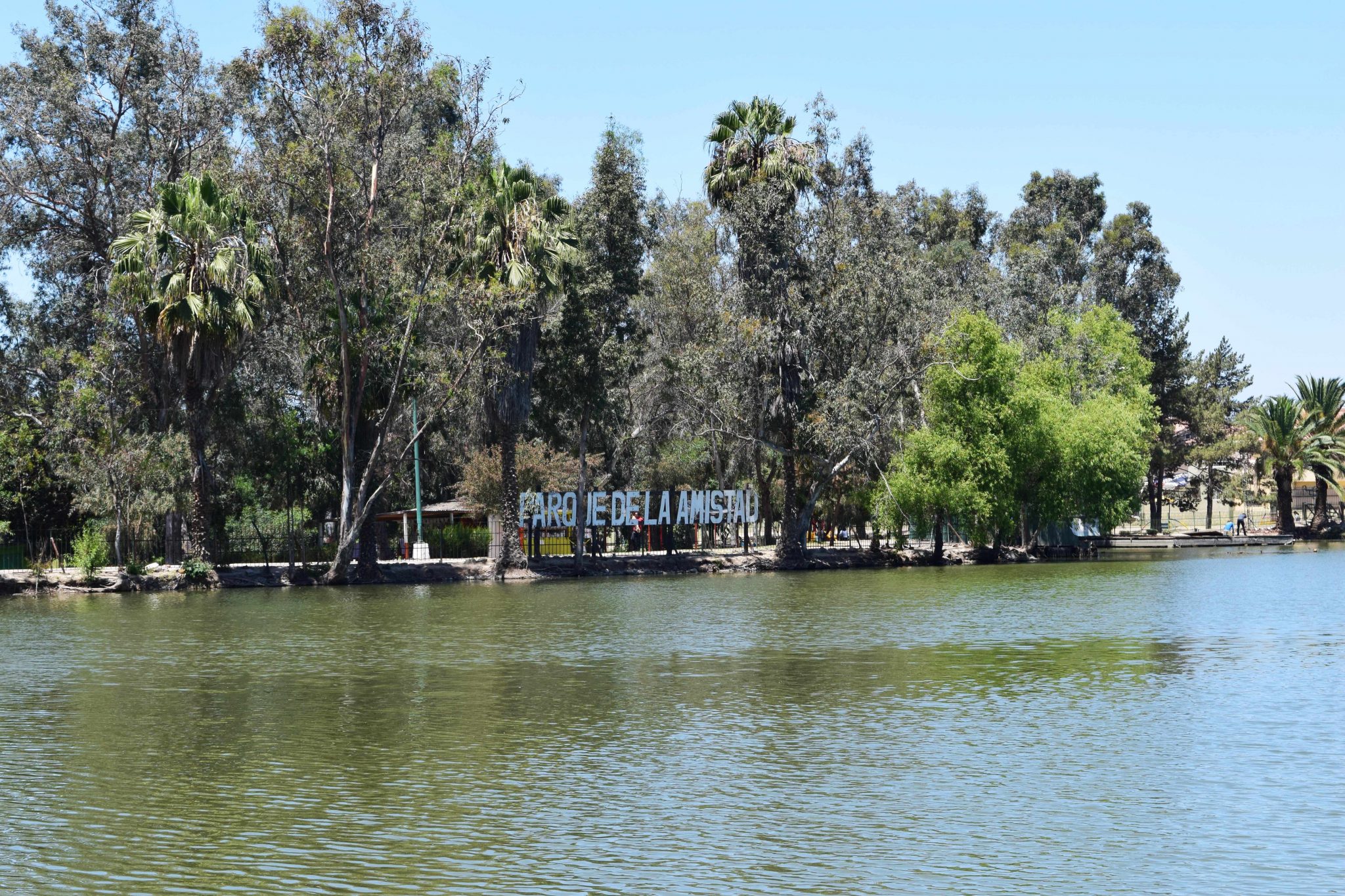 Es prioridad de Simpatt Protección a visitantes, flora y fauna de parque de la Amistad